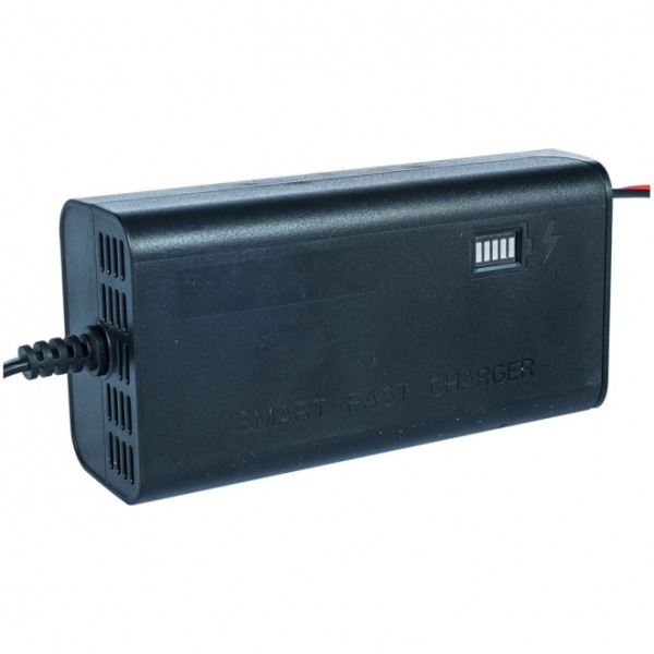 Зарядное устройство инверторного типа Limex Smart-1203 ᐉ купить артикул 919695STRU в Киеве - супер-цена на запчасть – от 368 грн. – интернет-магазин Strument (Украина)