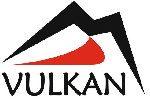 Официальный логотип компании Vulkan
