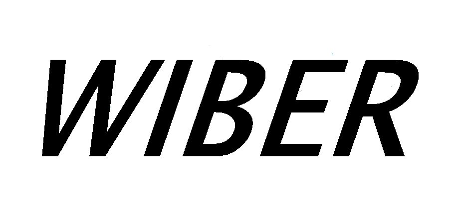 Официальный логотип компании Wiber