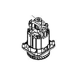Електродвигун для газонокосарки AL-KO Classic 3.22 SE (412480) заміна (412480-1) ᐉ купить артикул 412480-1 в Киеве - супер-цена на запчасть – от 1280 грн. – интернет-магазин Strument (Украина)